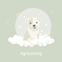 huisdier uiterlijke verzorging vector illustratie met schattig hond