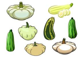 pompoen, courgette en pattypan squash vector