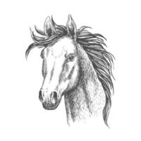 merrie paard schetsen voor ruiter sport ontwerp vector