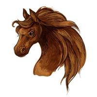 paard mustang hoofd schetsen portret vector