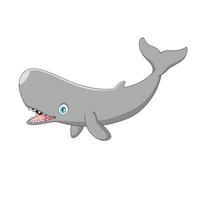 schattig tekenfilm sperma walvis. marinier zoogdier tekenfilm illustratie vector