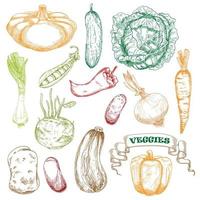 gekleurde geschetst groenten voor landbouw ontwerp vector