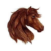 bruin paard hoofd schetsen met Arabisch renpaard vector