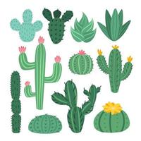 vector reeks van schattig cactussen, aloë en bladeren. verzameling van exotisch planten. decoratief natuurlijk elementen zijn geïsoleerd Aan wit. cactus met bloemen illustratie.