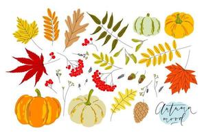 reeks van kleurrijk herfst bladeren, bessen, pompoenen, eikels en zaden. geïsoleerd cliparts Aan wit achtergrond. gemakkelijk vlak stijl vector illustraties.