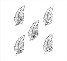 illustraties van veer met bloemen verzameling vector