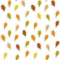 herfst patroon. eik bladeren naadloos patroon. vector