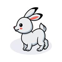 schattig weinig wit konijn tekenfilm vector