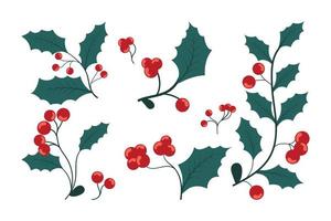 hulst bladeren met rood bessen verzameling. Kerstmis maretak elementen reeks vector