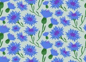 naadloos patroon met korenbloemen. structuur met wilde bloemen in tekenfilm stijl. vector