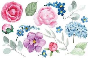 waterverf tekening, reeks van pioen bloemen, hortensia's, vergeet-mij-nietjes, magnolia's, rozen en eucalyptus bladeren. roze en blauw bloemen Aan een wit achtergrond. delicaat tekening. vector