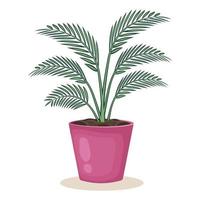 binnen- fabriek in bloem pot. kamerplant geïsoleerd Aan wit achtergrond. huis decor. palm tropisch bladeren. vector illustratie.