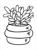 schattige handgetekende kamerplant in een pot clipart. plant illustratie. gezellige huiskrabbel vector