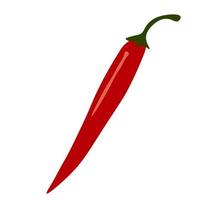 Chili peper vector. vector