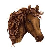 bruin bevallig verdrietig paard portret vector