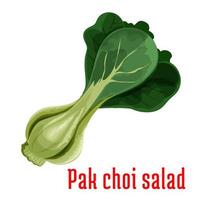 bok choy of Chinese kool groente icoon vector