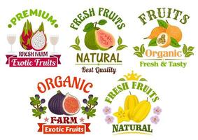 vers sappig natuurlijk biologisch fruit pictogrammen reeks vector