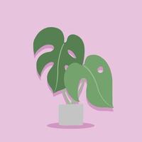 eenvoud monstera plant uit de vrije hand tekenen plat ontwerp. vector