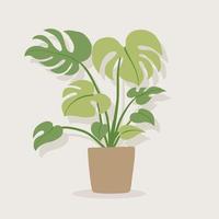 eenvoud monstera plant uit de vrije hand tekenen plat ontwerp. vector