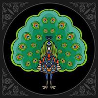 kleurrijk Pauw vogel mandala kunsten geïsoleerd Aan zwart achtergrond vector