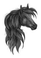 schetsen van zwart rasecht paard hoofd vector