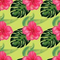 naadloos patroon met tropisch bladeren, hibiscus bloemen vector