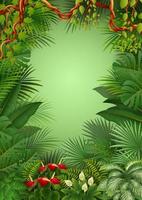 vector illustratie van tropisch oerwoud achtergrond