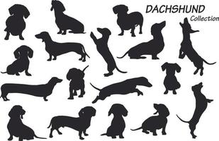 teckel hond silhouetten vector