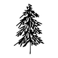 Kerstmis boom hand- getrokken illustratie geïsoleerd Aan wit achtergrond. Spar tekening clip art vector