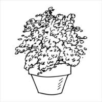 schattige handgetekende kamerplant in een pot clipart. plant illustratie. gezellige huiskrabbel vector