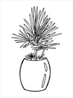 schattige handgetekende kamerplant in een pot clipart. plant illustratie. gezellige huiskrabbel vector