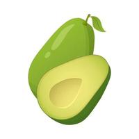 avocado realistisch vers fruit. vector illustratie.gezond voedsel voor veganisten en vegetariërs.natuurlijk biologisch voedsel. milieuvriendelijk voedsel.