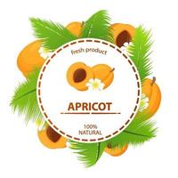 cirkel etiket abrikoos tropisch fruit palm bladeren vers Product natuurlijk. concept banier cosmetica, drankjes, voedsel voor vegetariërs of parfums. realistisch illustratie vector. vector