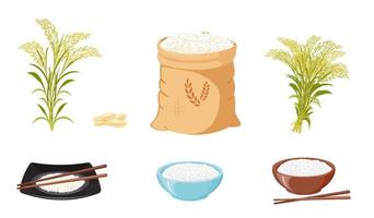 rijst- producten, zaden en gebruik van afgewerkt Bijsnijden. rijst- schoven en stengels. opslagruimte van granen in canvas tas. vector