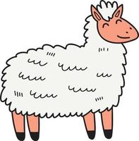 hand- getrokken schattig schapen illustratie vector
