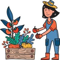 hand- getrokken vrouw boer plukken fruit en groenten illustratie vector