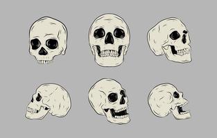 realistisch schedel handgetekend element vector