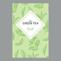 groen thee illustratie vector