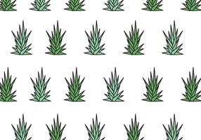 Maguey Patroon vector