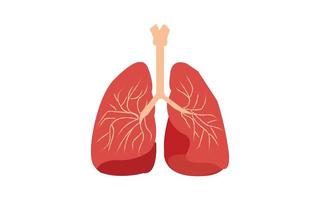 gezondheidszorg en medisch onderwijs tekening tabel vector