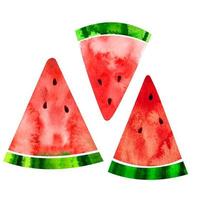 watermeloen 3 plakjes aquarelverf illustratie geïsoleerd Aan wit achtergrond vector