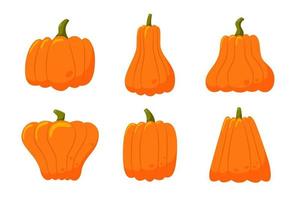 reeks van oranje pompoenen van divers vormen geïsoleerd Aan een wit achtergrond. halloween squash, vallen oogst kalebassen. dankzegging en halloween elementen. vector illustraties