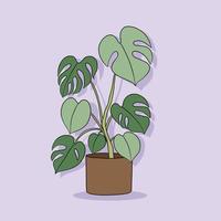 eenvoud monstera plant uit de vrije hand tekenen plat ontwerp. vector