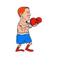 bokser vechten houding tekenfilm vector