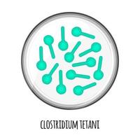de menselijk microbioom van clostridium tetani in een Petri gerecht. vector afbeelding. bifidobacteriën, lactobacillen. melk- zuur bacteriën. illustratie in een vlak stijl.