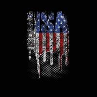 Verenigde Staten van Amerika vlag t overhemd ontwerp vector