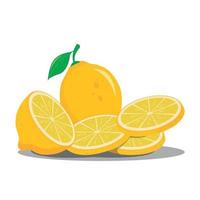geel citroen plakjes illustratie reeks vector