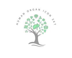 menselijk orgel pictogrammenset op witte achtergrond vector