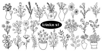 botanisch tekening reeks met bloemen en planten vector