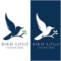 reeks van creatief vogel logo met leuze sjabloon vector